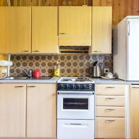 Dom wakacyjny Saniainen 5 By Interhome Savia